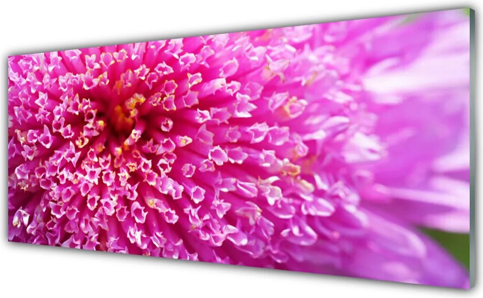 Panel Kuchenny Botaniczna Dekoracja Ścienna