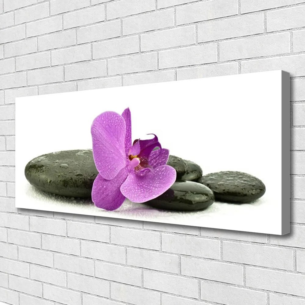 Obraz canvas Królewska Orchidea w Detalu