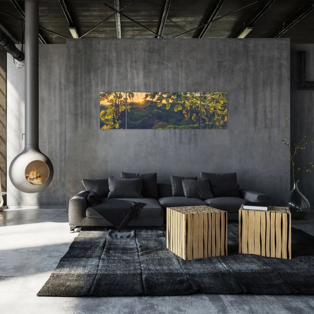 Obraz - Winnica (170x50 cm)