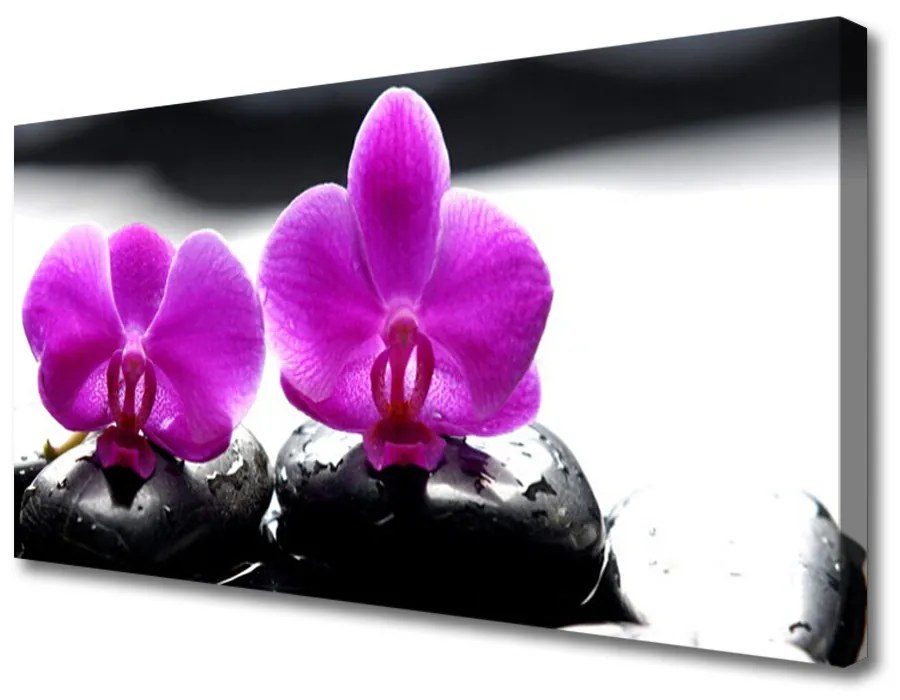 Obraz Canvas Kwiaty Orchidea Natura