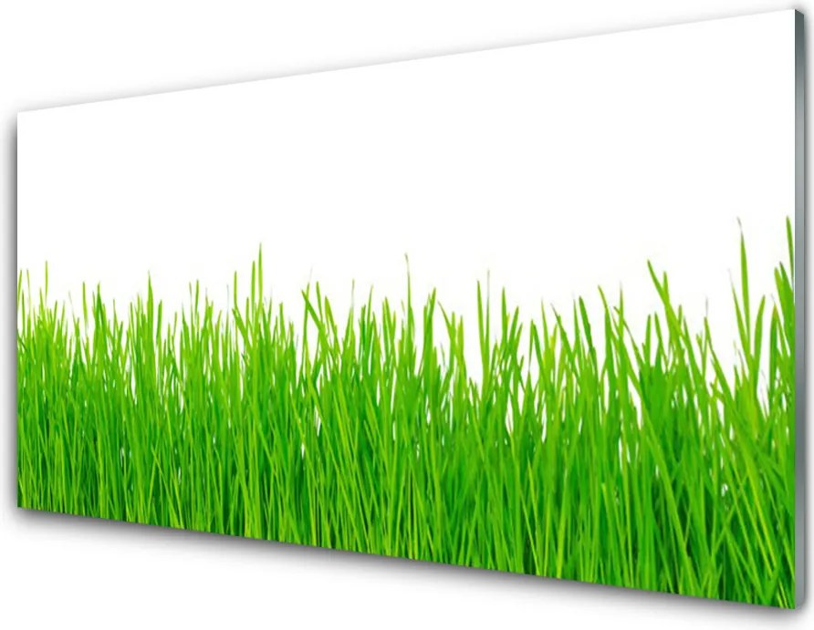 Panel Szklany Naturalna Gęstwina Trawy