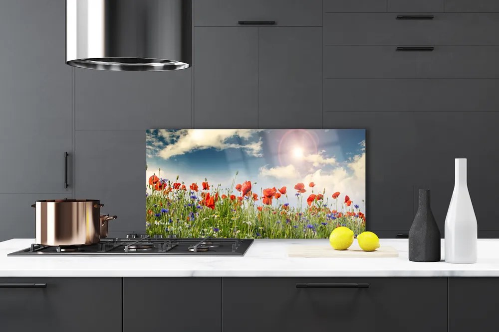 Panel Szklany Letnia Łąka w Blasku Dnia