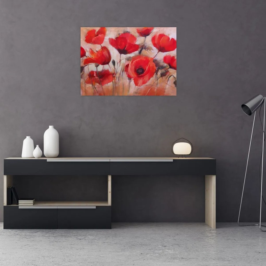 Obraz na szkle - Wilcze maki (70x50 cm)