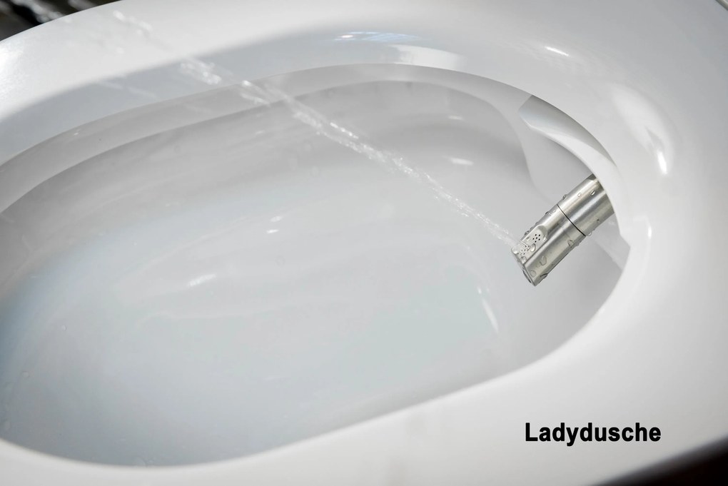 Kompletny zestaw WC 7: Toaleta myjąca Basic 1102Moduł sanitarny 805 czarny