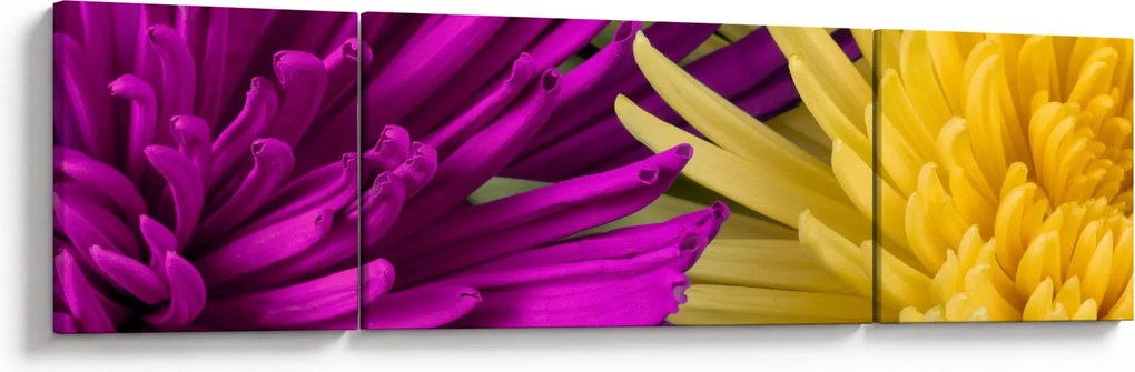 Obraz - szczegóły kwiatów (170x50 cm)