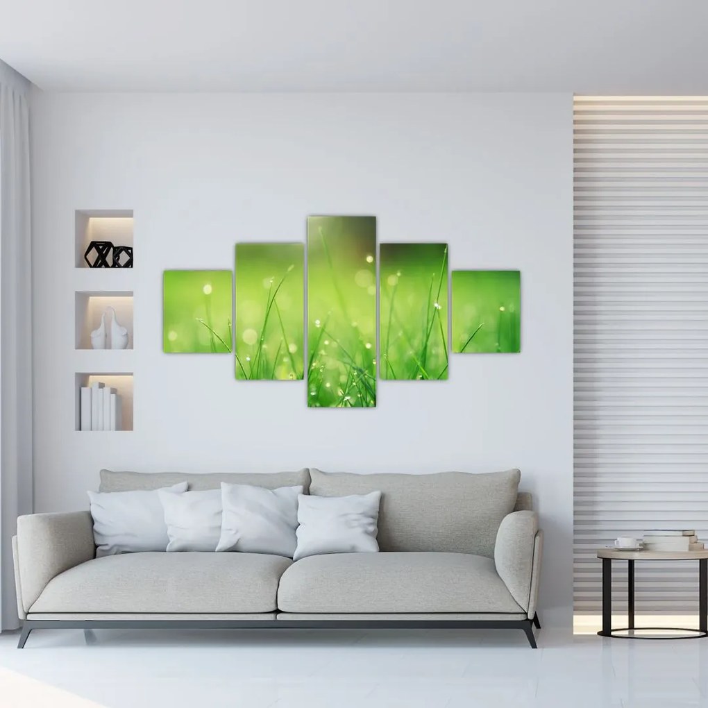 Obraz - rosa na trawie (125x70 cm)
