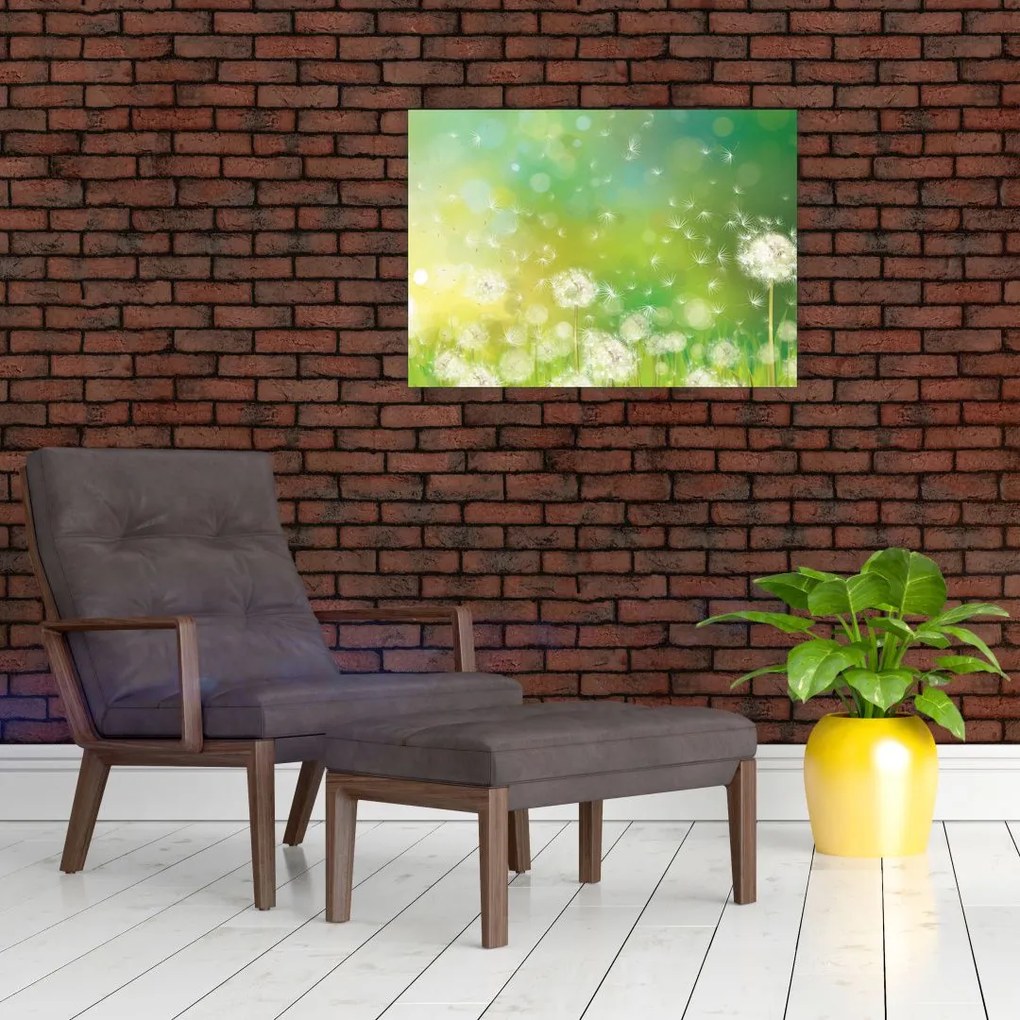 Obraz - Kwitnące mlecze (70x50 cm)