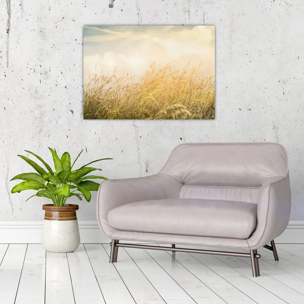 Obraz - Pole jesienią (70x50 cm)