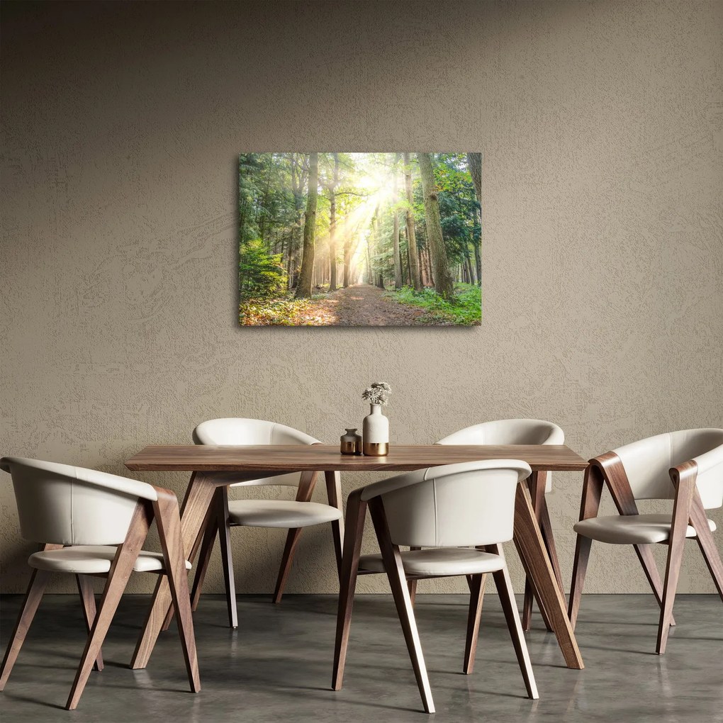 Obraz ścieżki w lesie (70x50 cm)