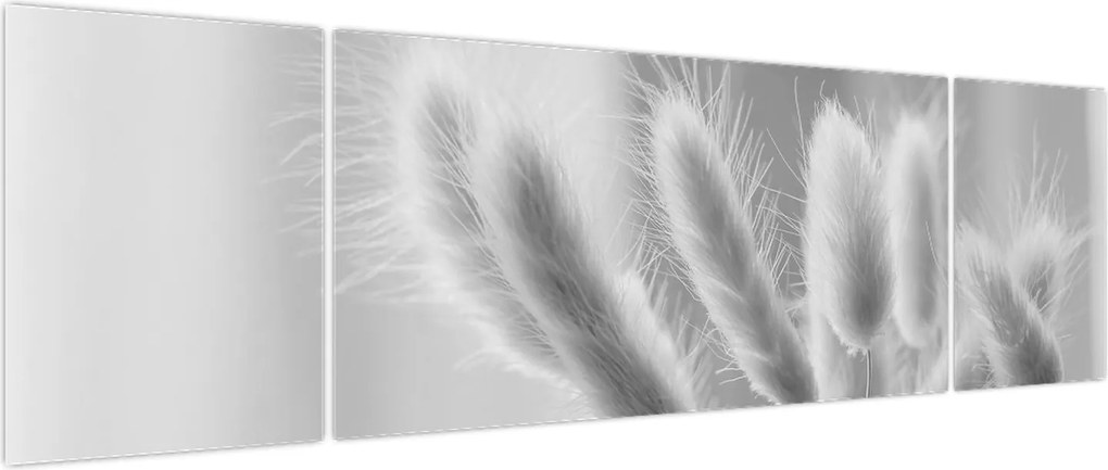 Obraz - Trawa z króliczym ogonkiem (170x50 cm)