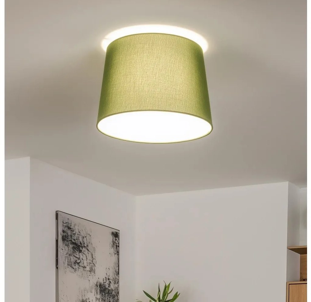 Brilagi - LED Przysufitowy żyrandol CERIA 1xE27/40W/230V śr. 30 cm zielony