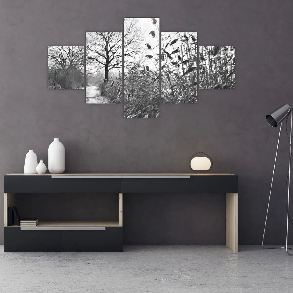 Obraz - Pola w zimie (125x70 cm)