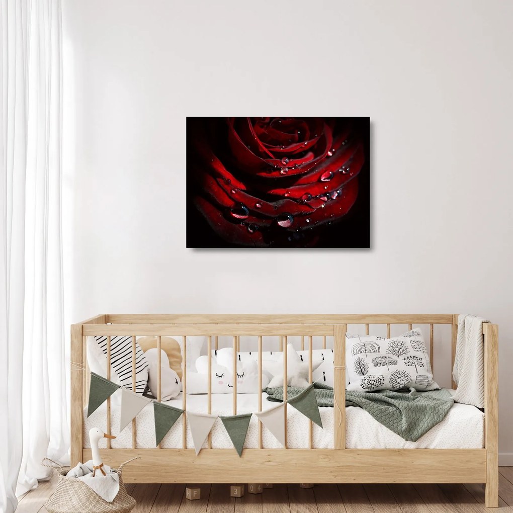 Obraz na szkle - Detal róży (70x50 cm)