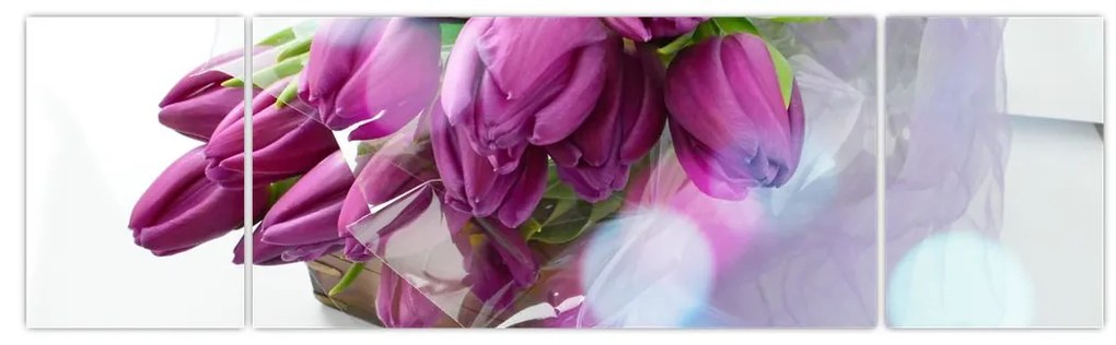 Obraz - bukiet tulipanów (170x50 cm)