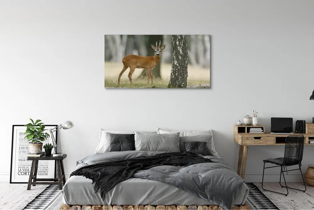 Zdjęcie na płótnie Jeleń w Leśnej Gęstwinie