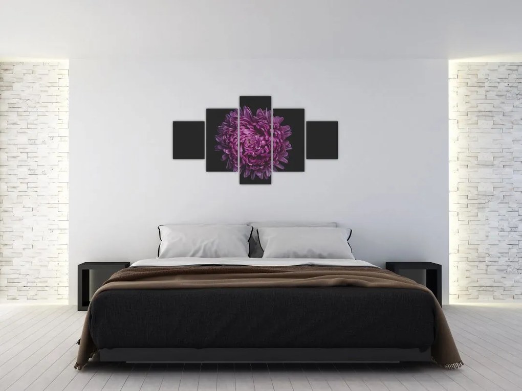 Obraz fioletowego kwiatu (125x70 cm)