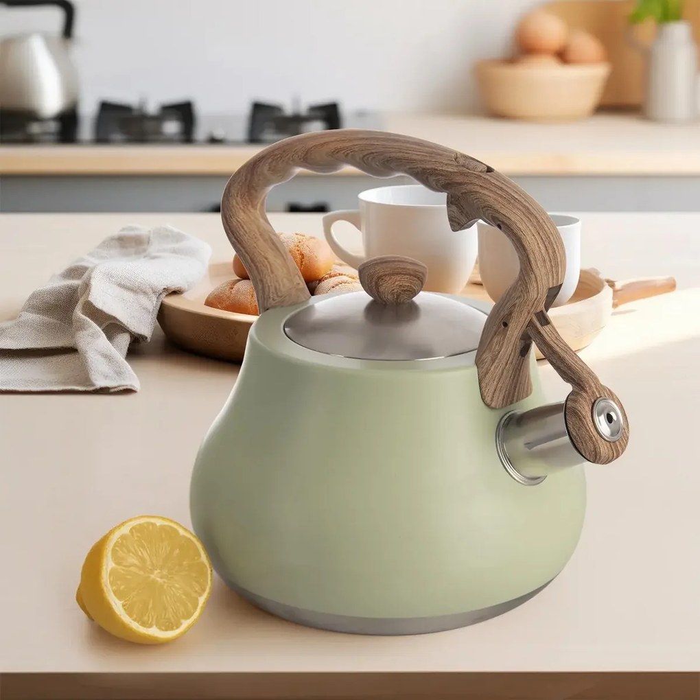Orion Czajnik z gwizdkiem Greenish, 3 l