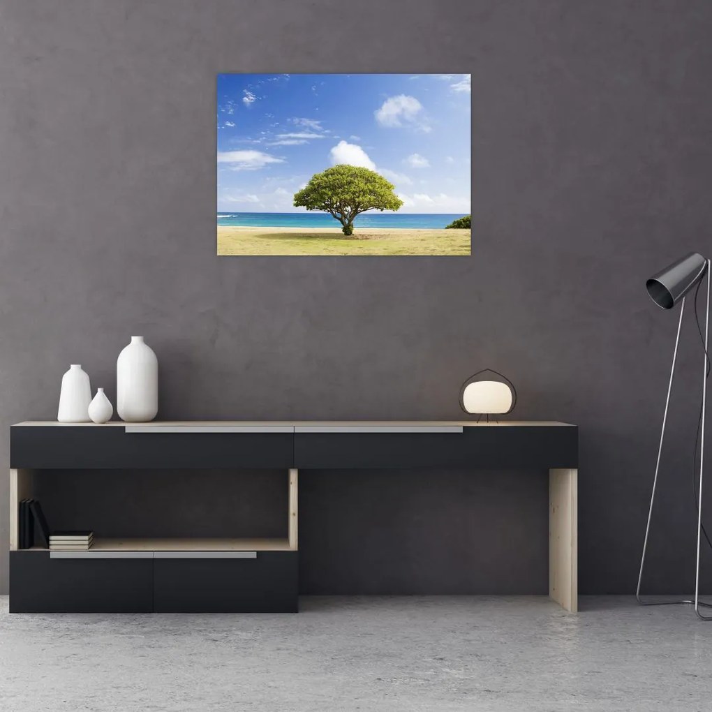 Obraz plaży z drzewem (70x50 cm)
