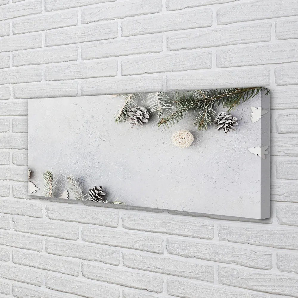 Obraz na płótnie Gałązki i Szyszki