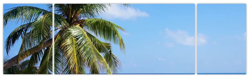Obraz palmy na plaży (170x50 cm)