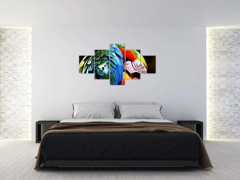 Obraz - Papuga (125x70 cm)