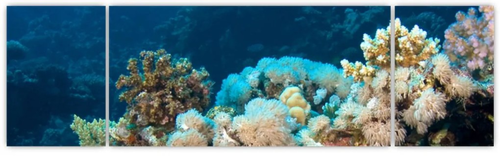 Obraz - W oceanie (170x50 cm)