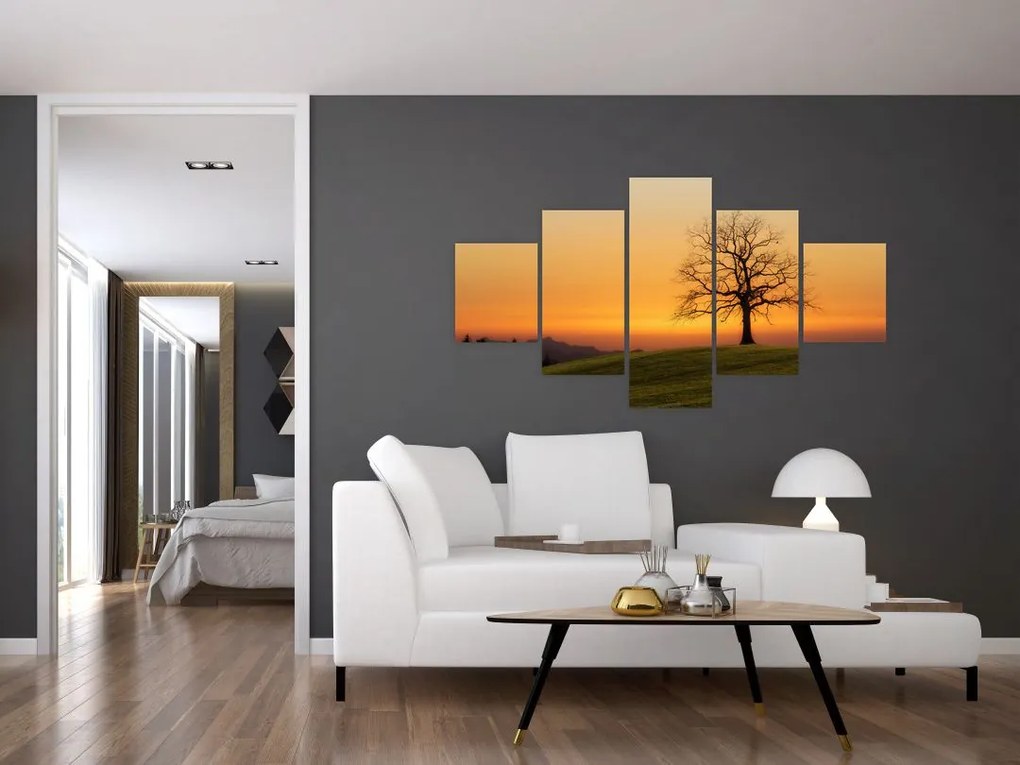 Obraz zachodu słońca na łące (125x70 cm)