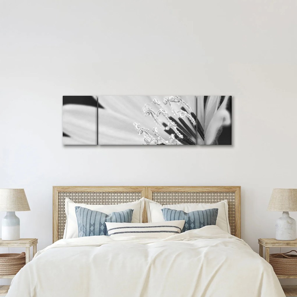 Obraz - Czarno-biały kwiat (170x50 cm)