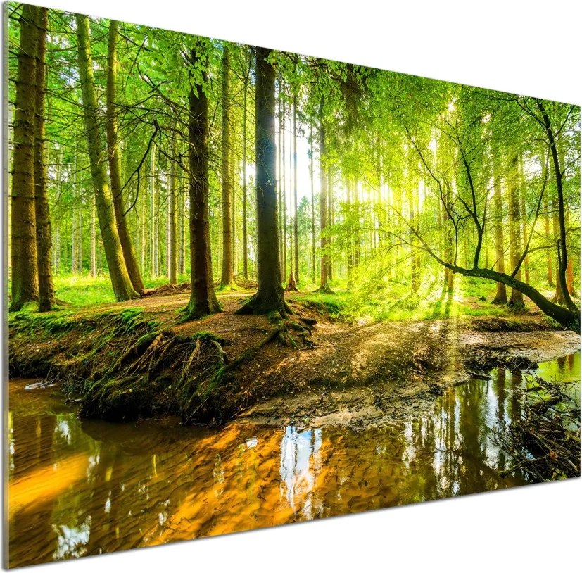 Panel do kuchni Sadzawka w lesie