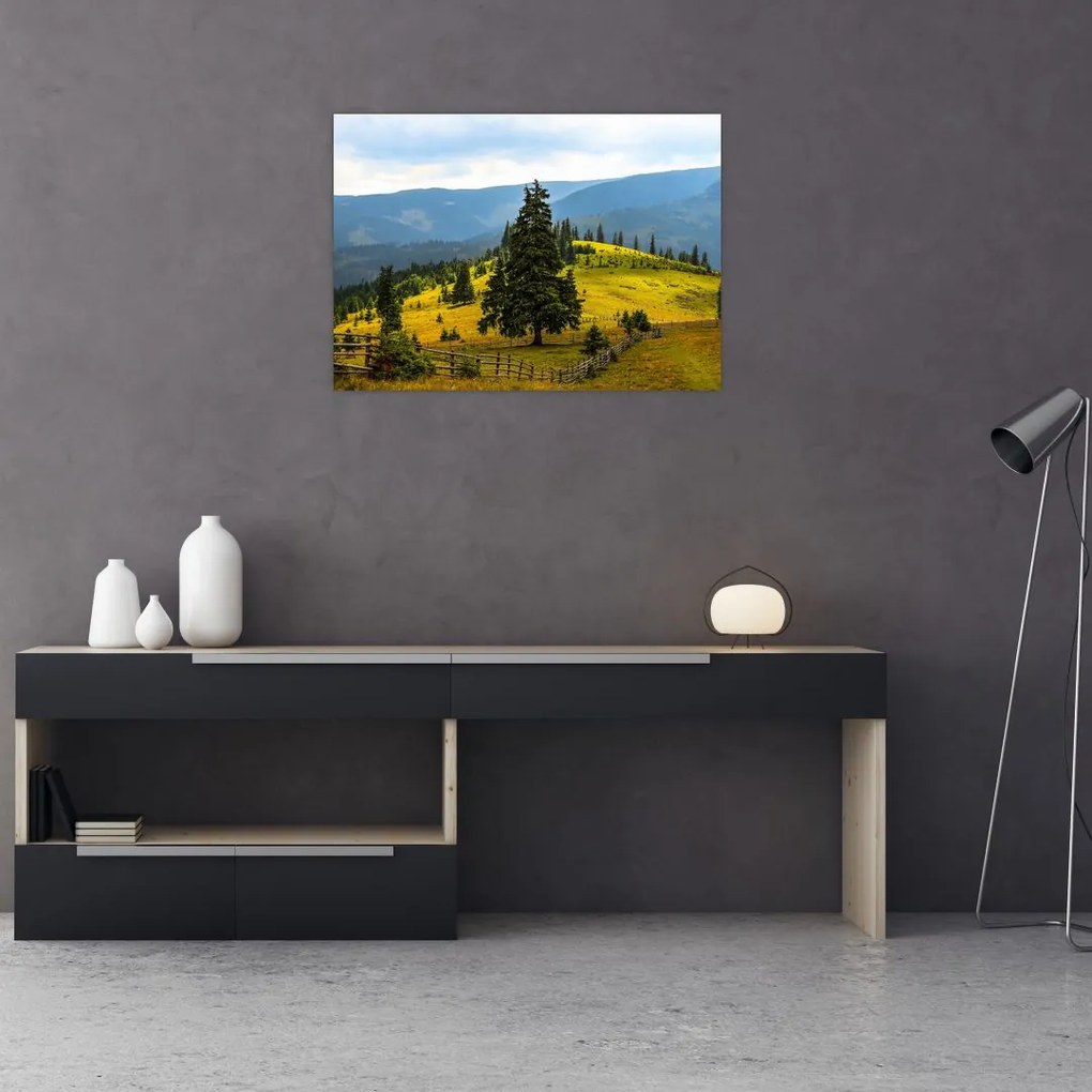 Obraz na szkle - Górska łąka (70x50 cm)