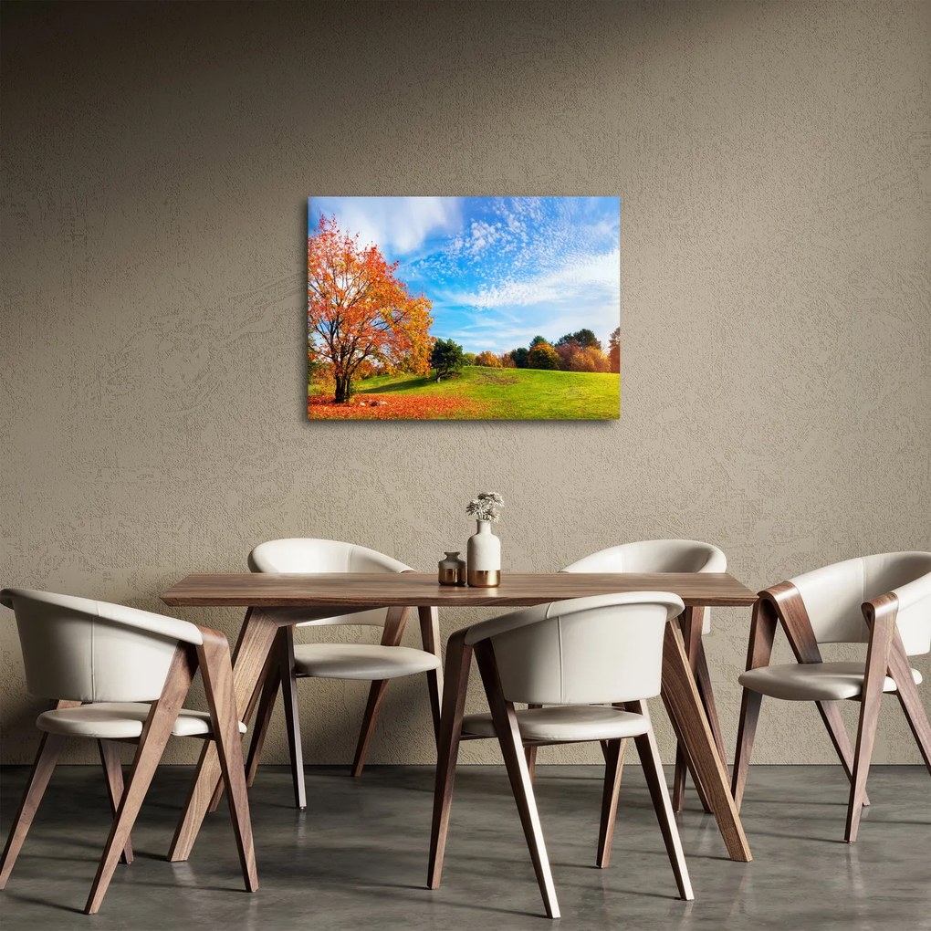Obraz - Jesienny krajobraz (70x50 cm)