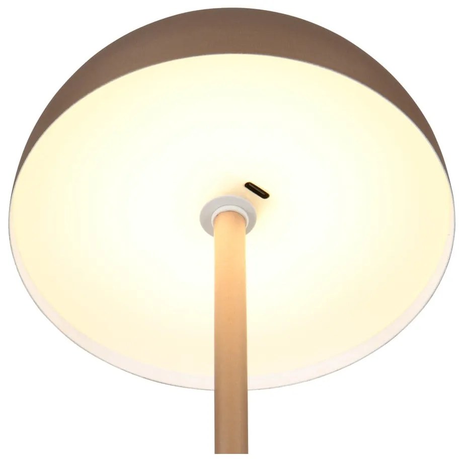 Lampa stołowa LED w kolorze brązu z metalowym kloszem (wysokość 21 cm) Munoz – Trio