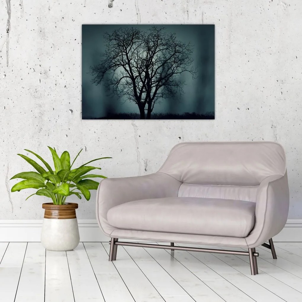Obraz na szkle - drzew podczas zaćmienia (70x50 cm)