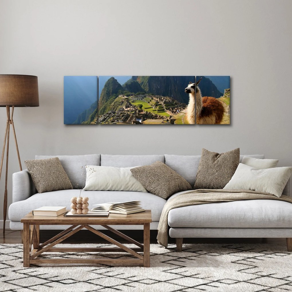 Obraz - Lama i Machu Picchu (170x50 cm)