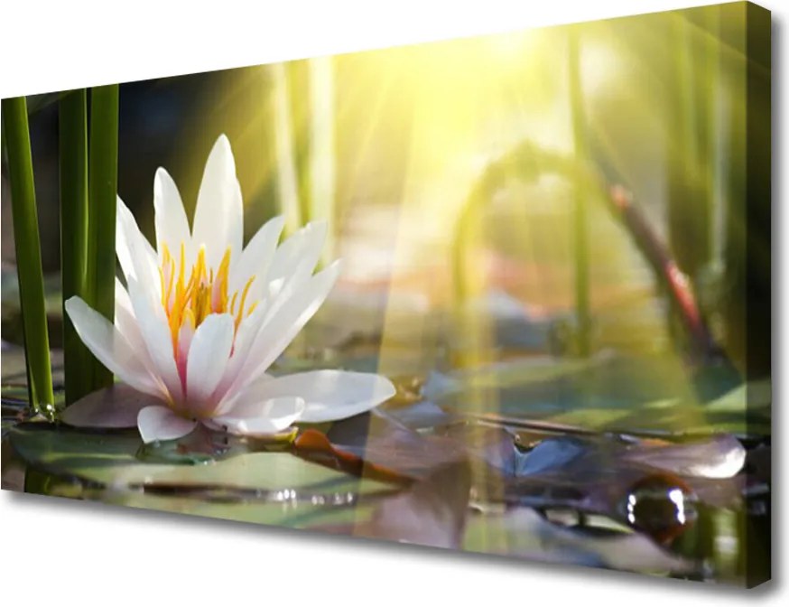 Obraz canvas Struktura Gładkich Kamyczków