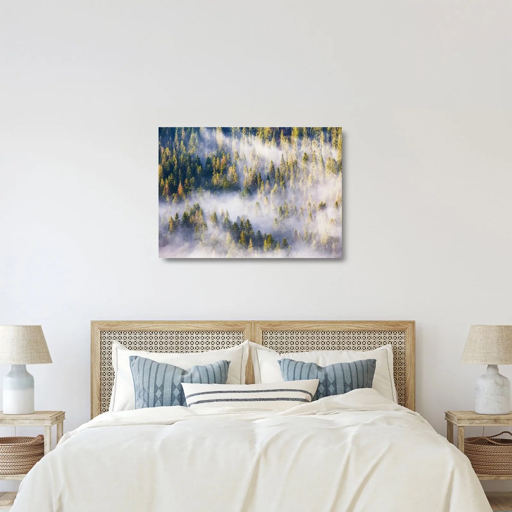 Obraz na szkle drzew we mgle (70x50 cm)
