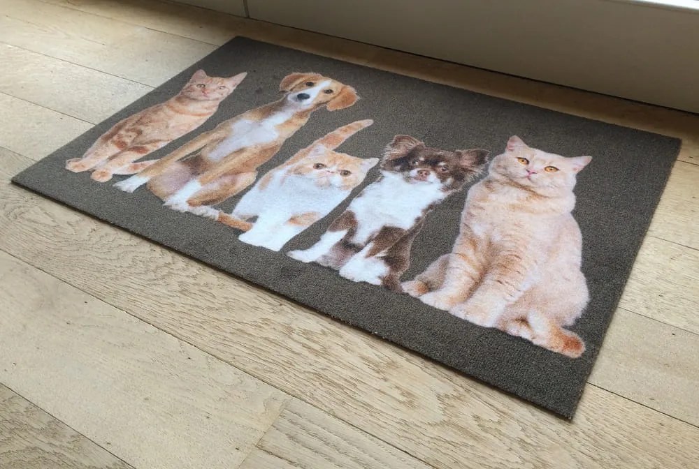 Wycieraczka Deco Star Kumple 50 cm x 80 cm