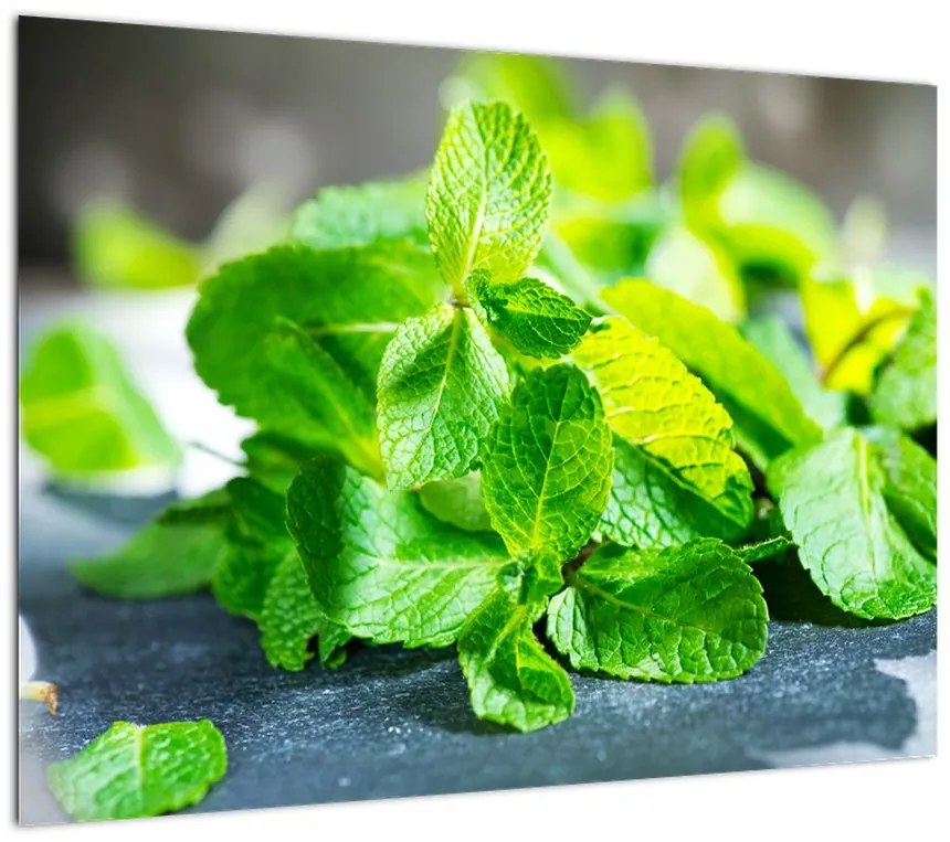 Obraz na szkle mięty (70x50 cm)