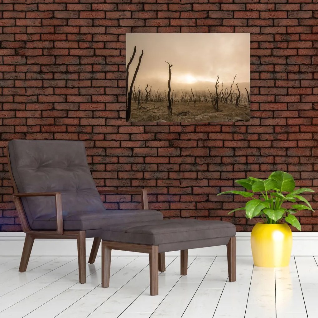 Obraz - Nagie drzewa (70x50 cm)