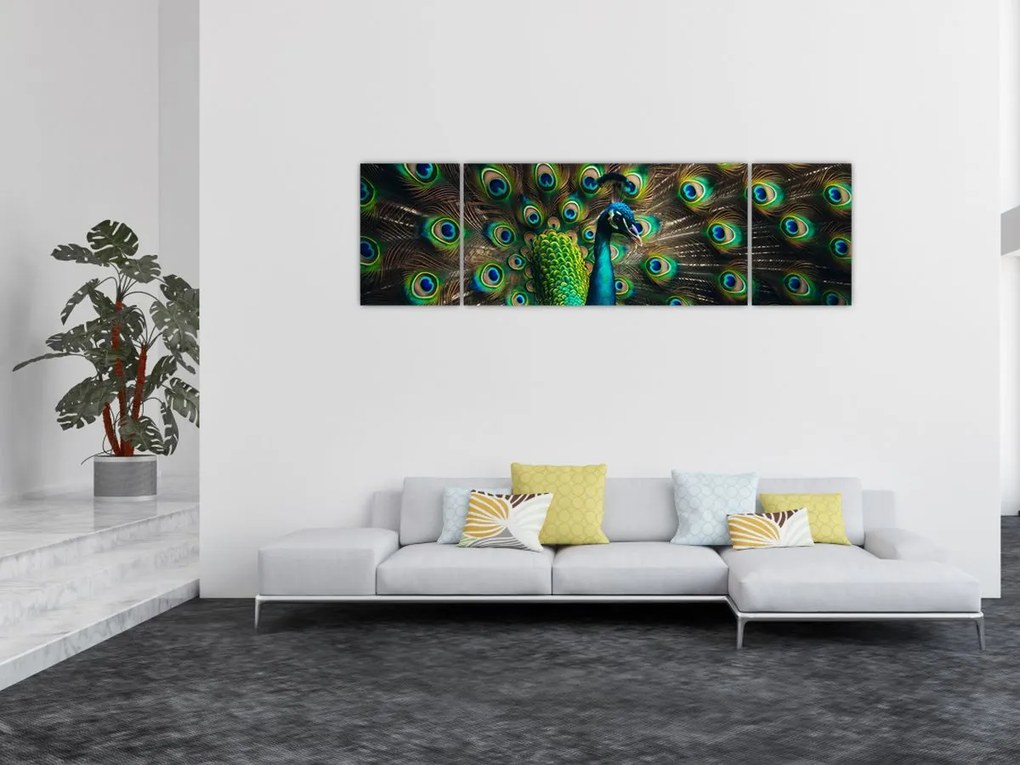 Obraz – Paw (170x50 cm)