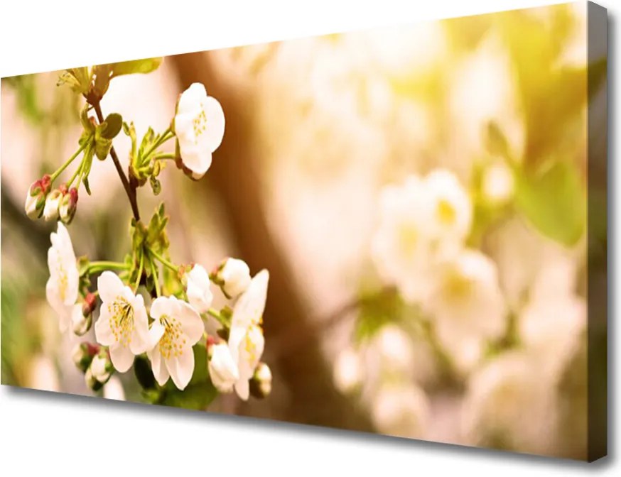 Obraz canvas Romantyczna Flora Ogrodowa