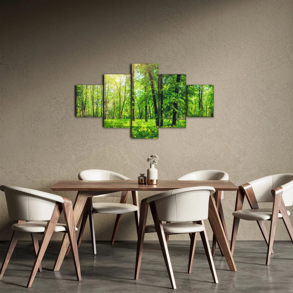 Obraz - Wiosenny las liściasty (125x70 cm)