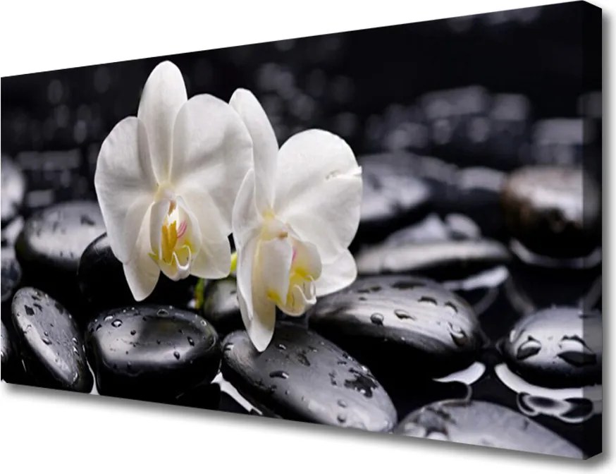 Obraz canvas Harmonia Kamieni i Kwiatów