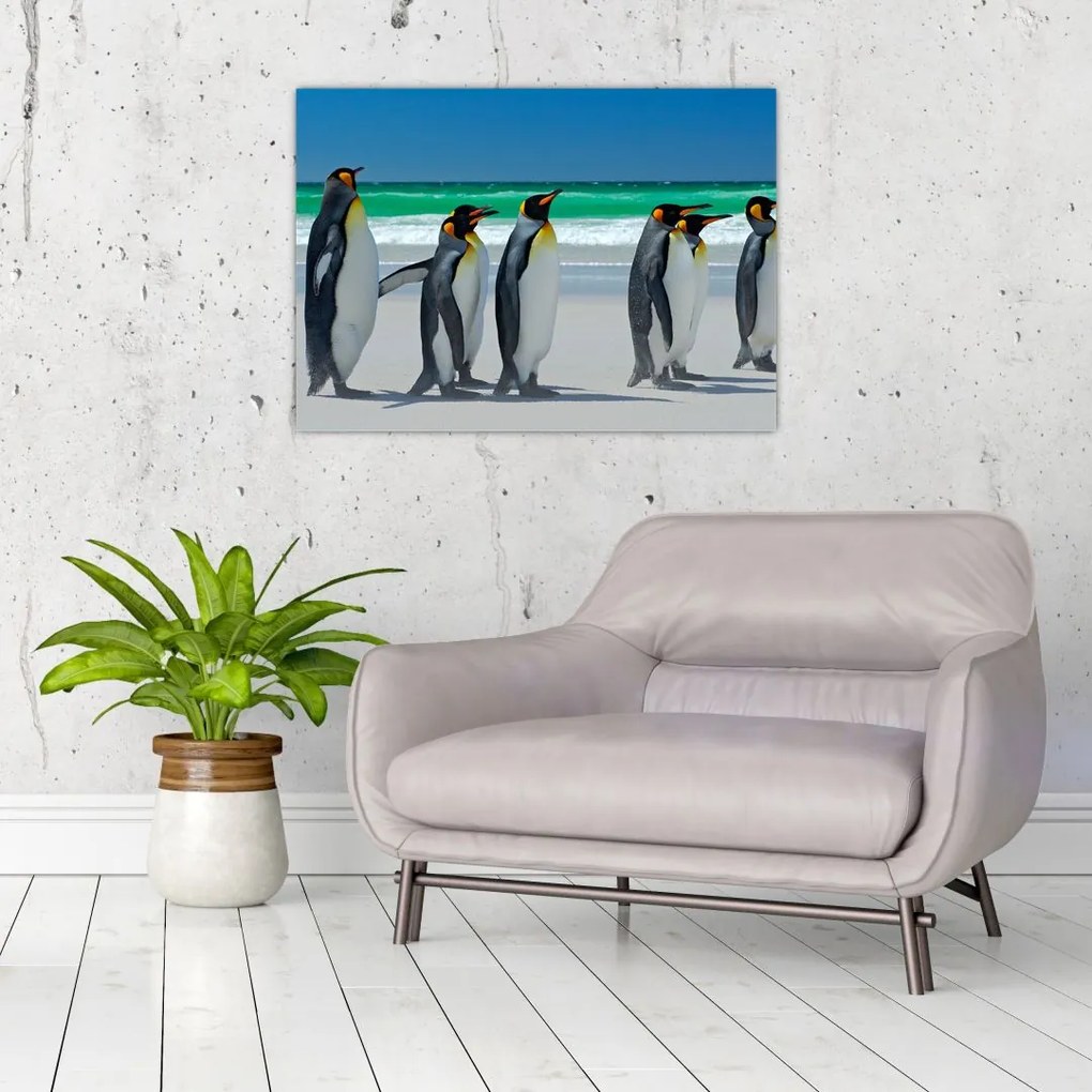 Obraz na szkle - Grupa Pingwinów królewskich (70x50 cm)