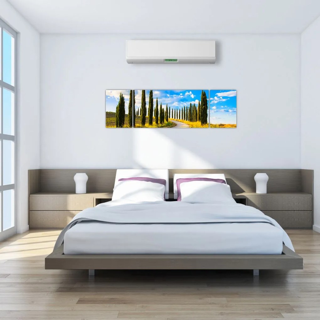 Obraz - Krajobraz (170x50 cm)