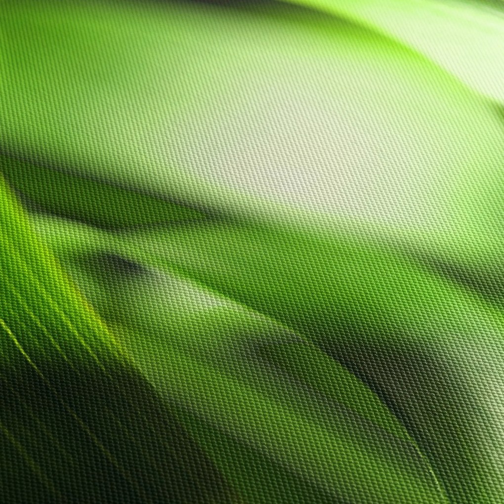 Obraz - Źdźbło trawy (125x70 cm)