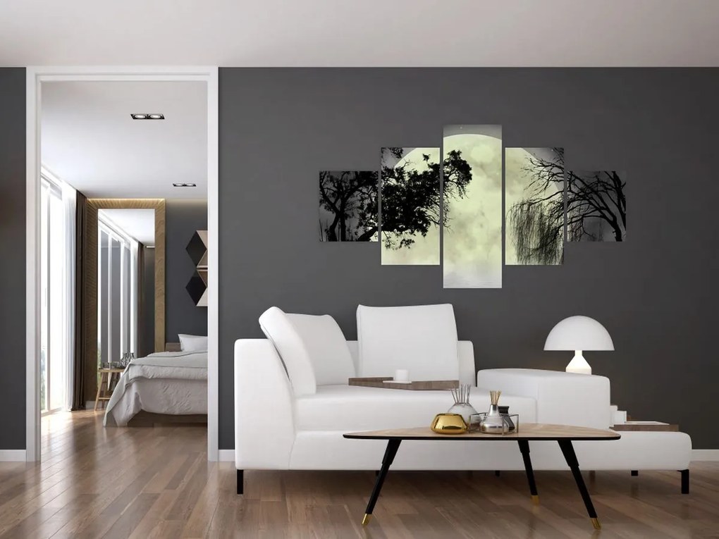 Obraz - Księżyc w pełni nad powierzchnią, wersja czarno - biała (125x70 cm)