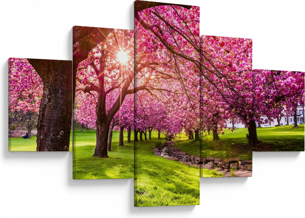 Obraz kwitnących czereśni, Hurd Park, Dover, New Jersey (125x70 cm)