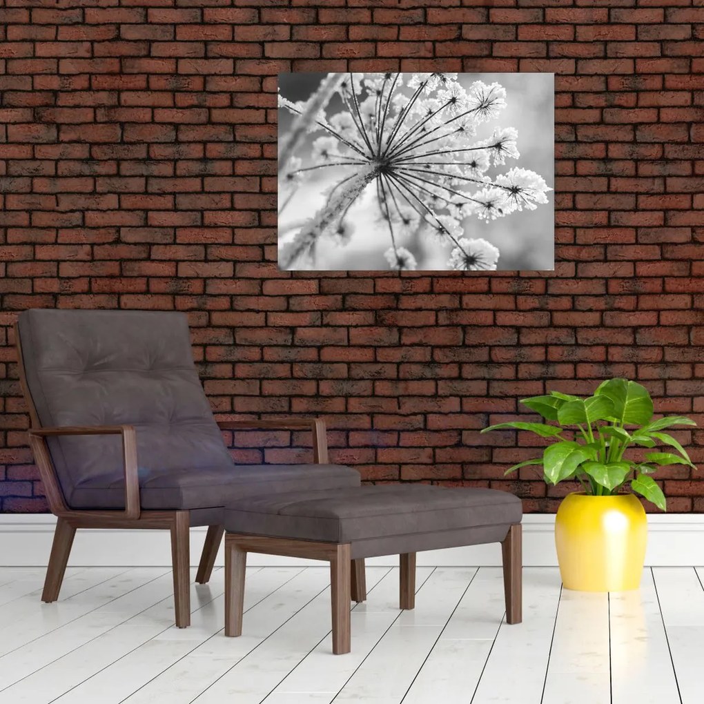 Obraz na szkle - Kwiat w zimie (70x50 cm)
