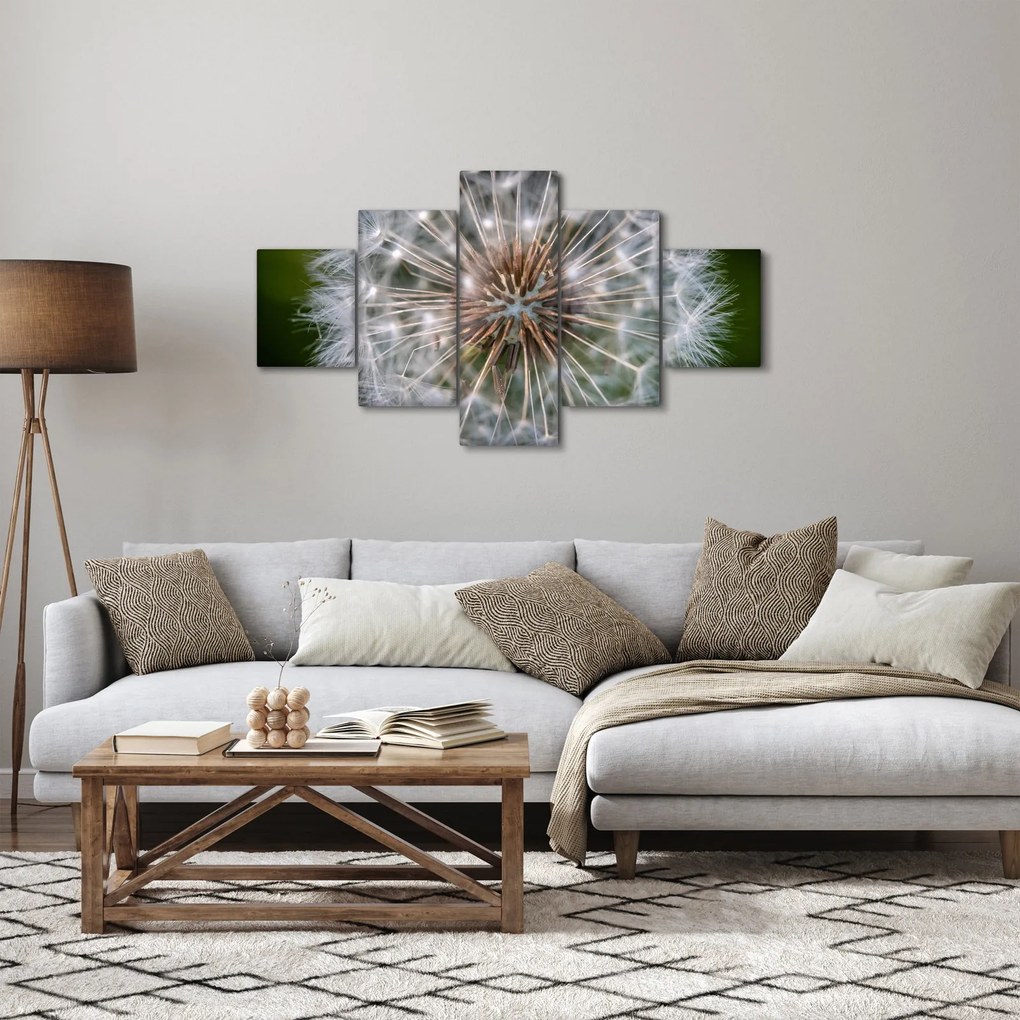 Obraz dmuchawca (125x70 cm)